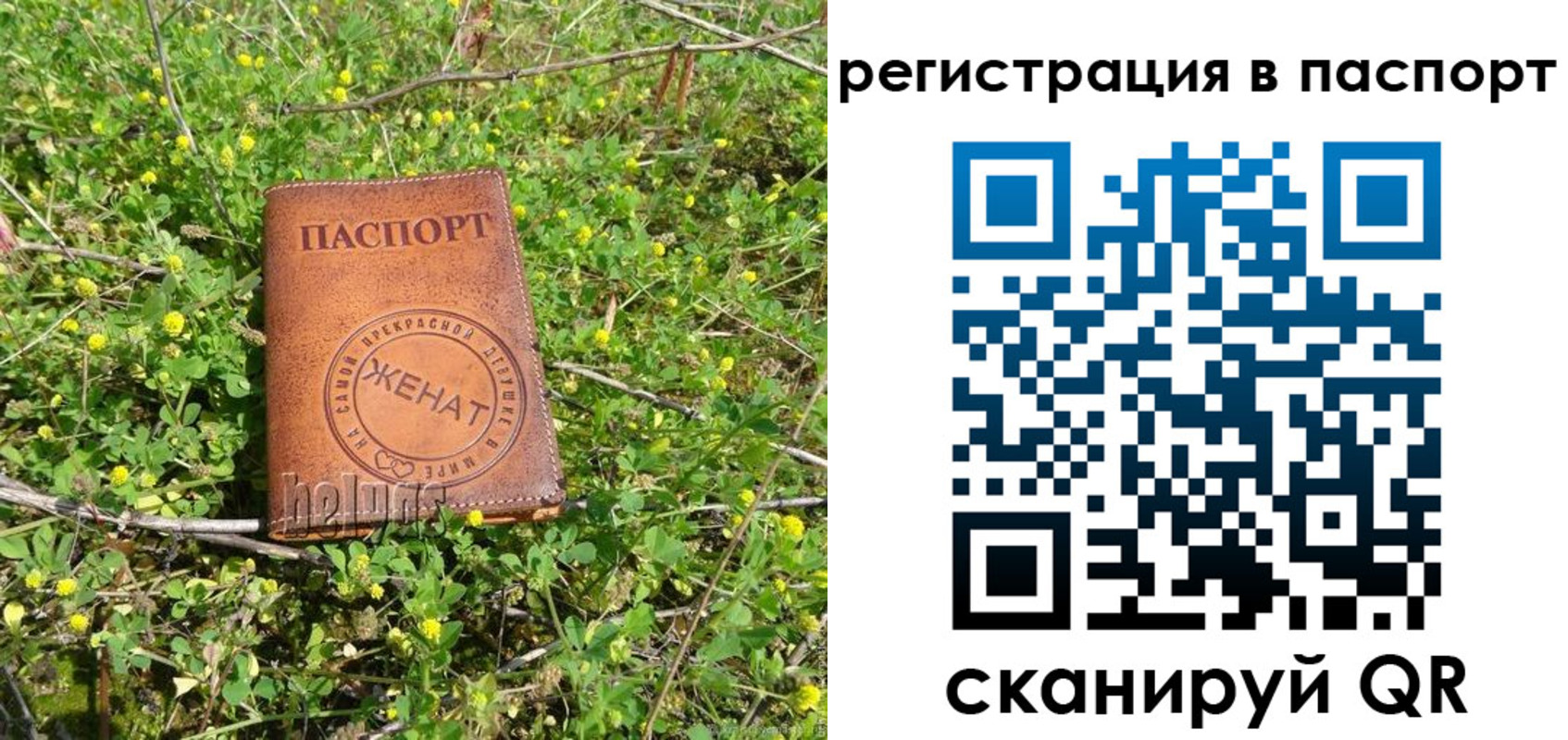 прописка законно в Рузаевке